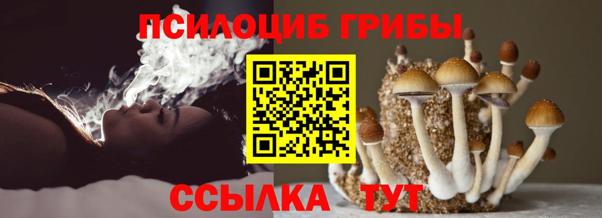 Псилоцибиновые грибы MAGIC MUSHROOMS Всеволожск
